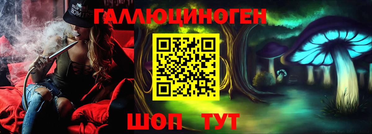 Камышлов  Псилоцибиновые грибы GOLDEN TEACHER  Вход с VPN  Псилоцибиновые грибы Cubensis 